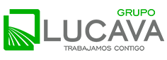 Lucava