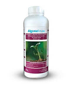 Algomel Push