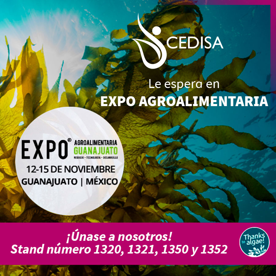 Cedisa en Expo Agroalimentaria