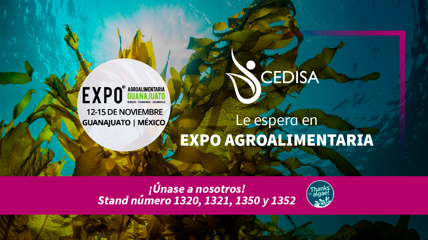 Cedisa en Expo Agroalimentaria