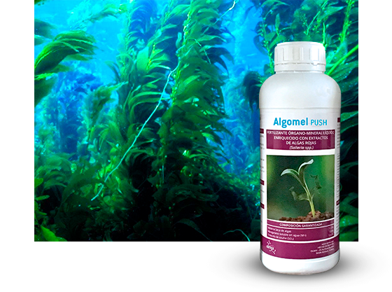 Algomel Push - Olmix Group